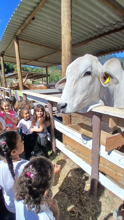 Crianças e animais na Fazendinha